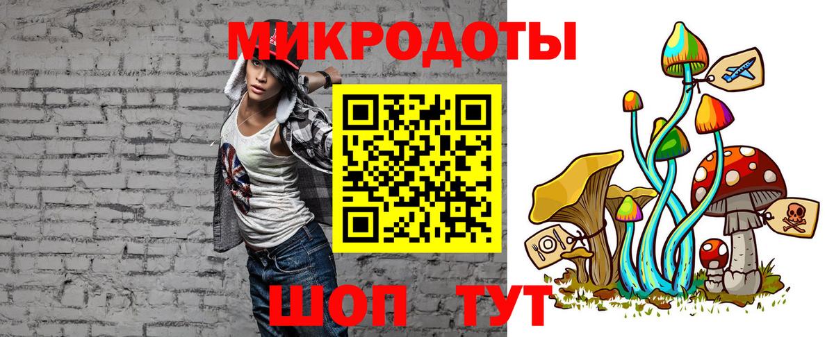 Псилоцибиновые грибы прущие грибы Новокубанск
