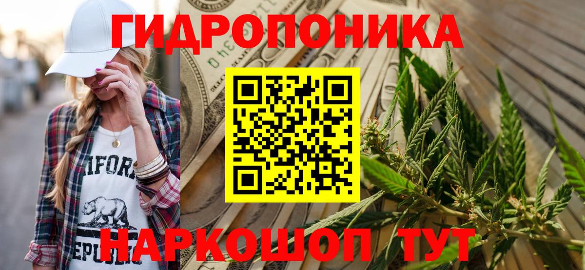 Шишки марихуана гибрид Новокубанск